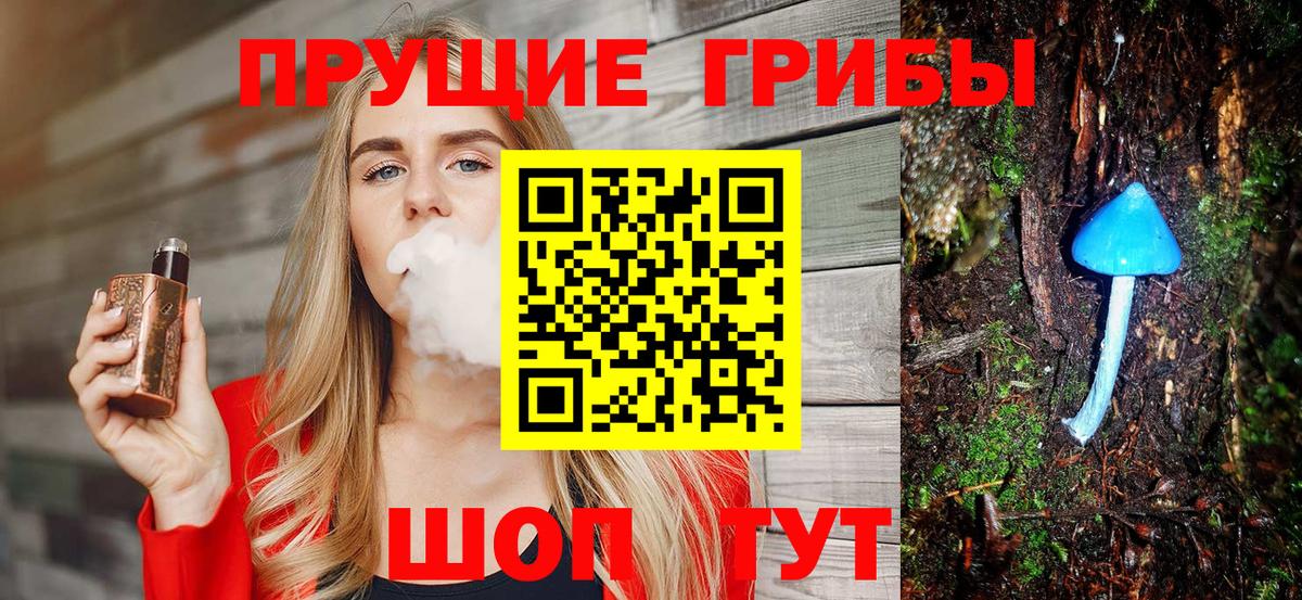 Псилоцибиновые грибы GOLDEN TEACHER Родники