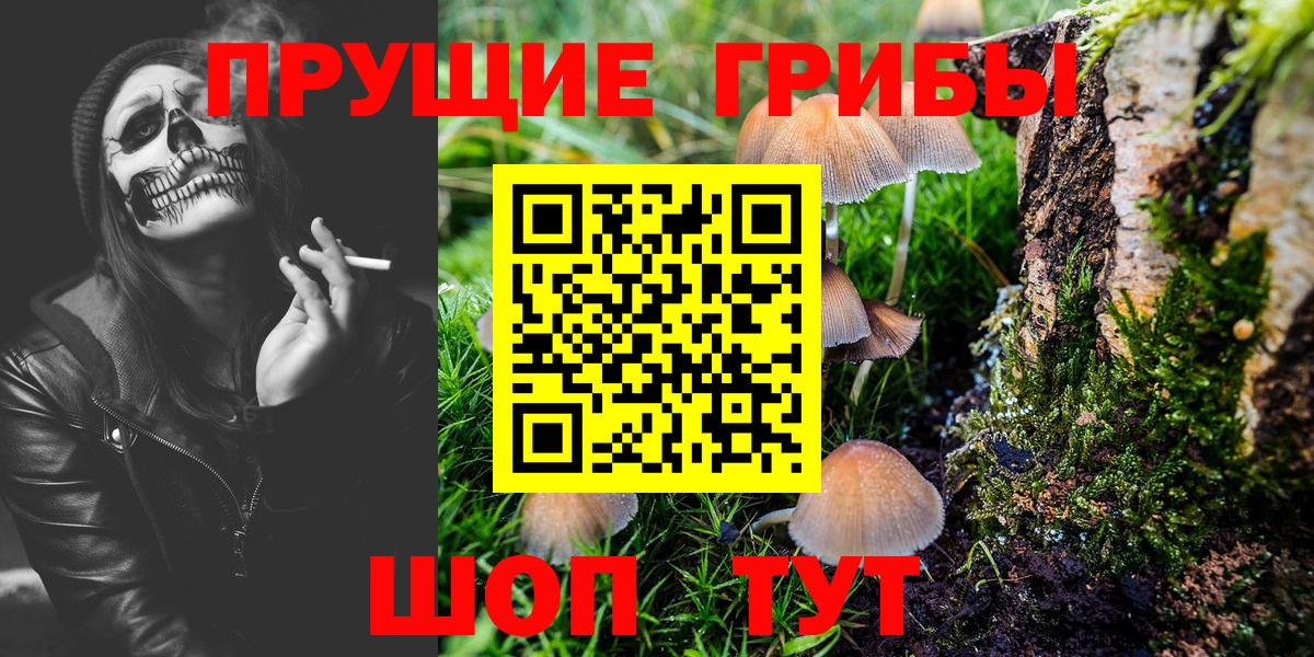 Галлюциногенные грибы мицелий  даркнет сайт  Псилоцибиновые грибы MAGIC MUSHROOMS  Родники  Вход с VPN 